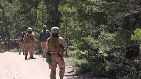 Marines conduct exercises to identify and diffuse IED devices. Stock Footage 74799995