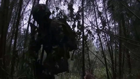 Marines make their way through thickets of bushes and trees Video stock 120842894