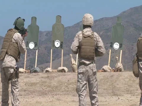 Marines perform live fire drills during a pre-deployment training program - 2012 Stock Footage 105482332