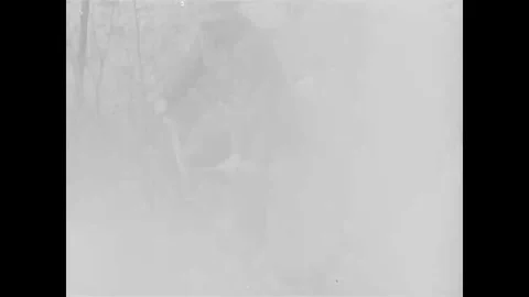 Marines prepare wood and make fire to heat up canned food - 1950 Stock Footage 94068124