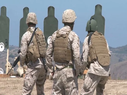Marines run live fire drills during a pre-deployment training program - 2012 Stock Footage 105482745