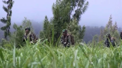 Marines Run Meadow, Fighting Stock Footage 120831930