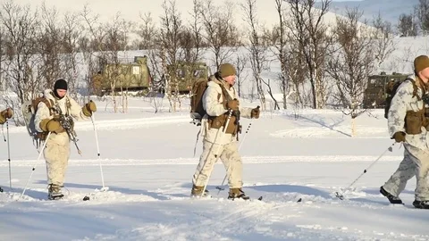 Marines skiing during exercise White Claymore, Norway Vídeos de archivo 103588638