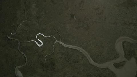 Marismas de un río Stock Footage 160427697