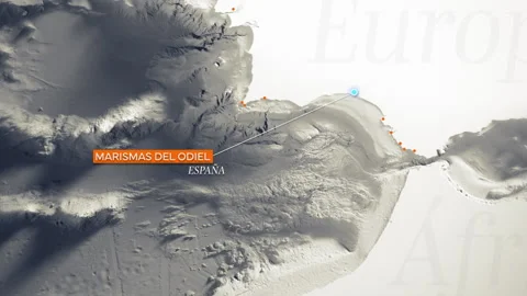 Marismas del Odiel Map Stock Footage 263166710