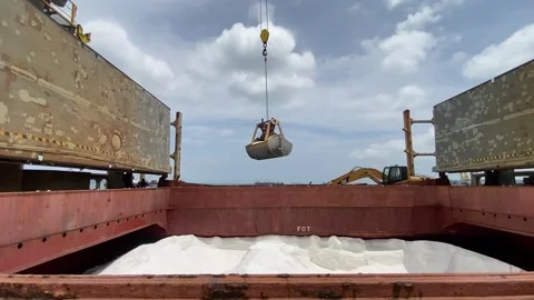 Maritime bulk cargo operation transferring fertilizer from large shipping Vídeos de archivo 336539041