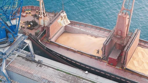 Maritime Grain Trade, Loading Corn onto a Cargo Ship. View from drone Stock Footage 305038585