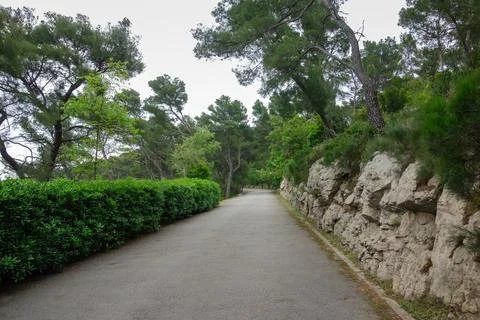 Marjan Forest Park in Split, Croatia Stock Photos