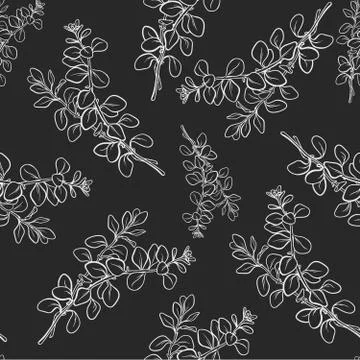 Marjoram branch with leaf seamless pattern Stock Illustration
