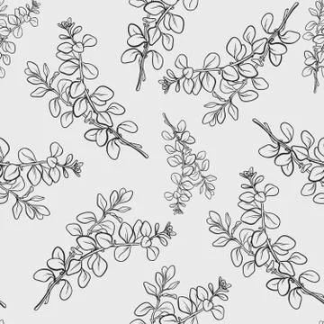 Marjoram branch with leaf seamless pattern Stock Illustration