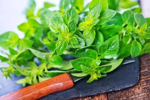 Marjoram Stock Photos