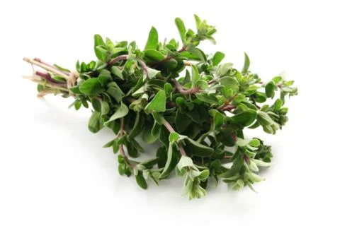 Marjoram Stock Photos