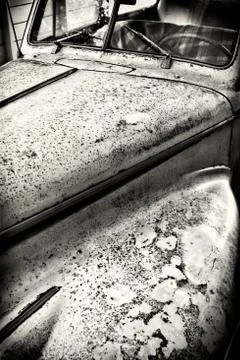 Marjorie Stock Photos