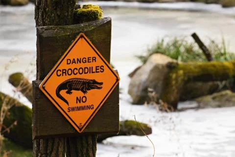 Mark danger crocodiles Stock Photos