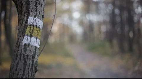 Mark footpath Stock Footage 922317