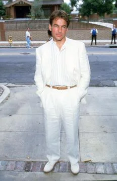 Mark Harmon at the Fundraiser Brunch for The Rape Treatment Center of Santa Stock Photos