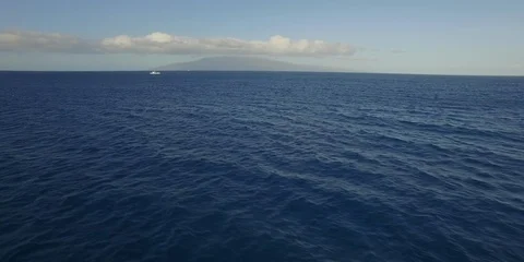 Mark morrison Stock Footage 102601669