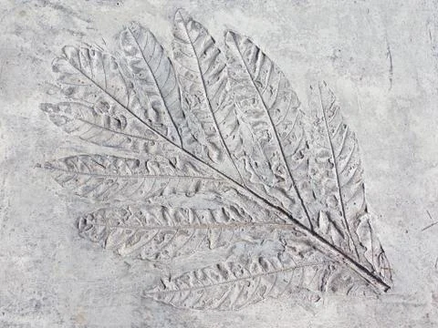 Mark sheet plants Foto stock