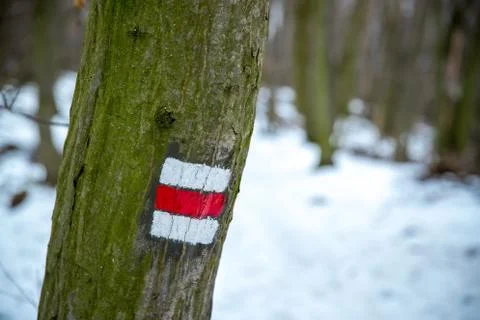 A mark on a tree marking the forest path and its difficulty Stock-Fotos