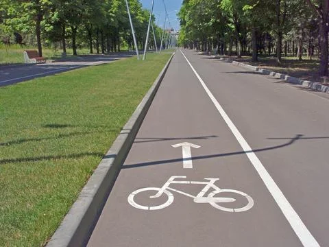 Marked cycle path in the city park. Stock-Fotos