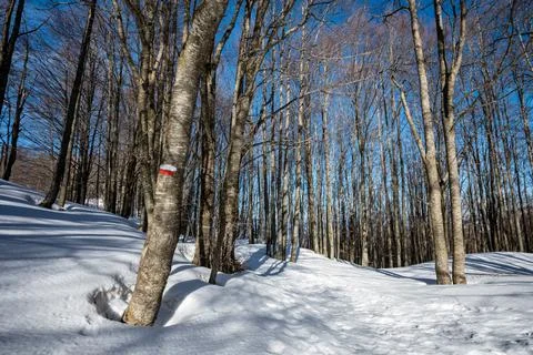 A marked path Stock Photos