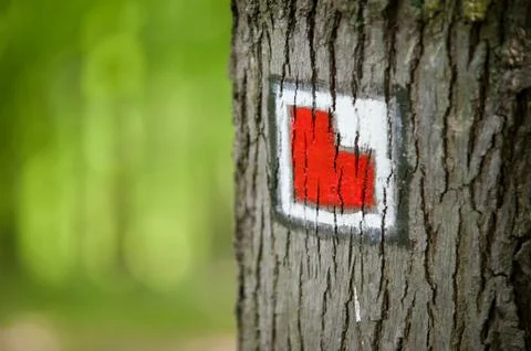 Marked tree Stock Photos