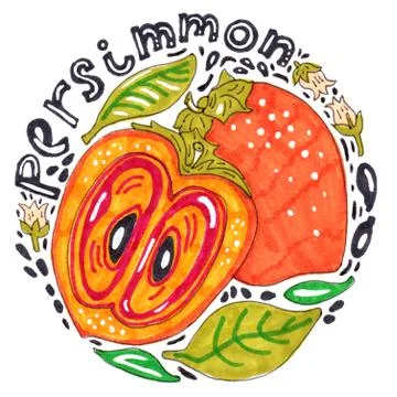 Marker Persimmon Stock Illustration