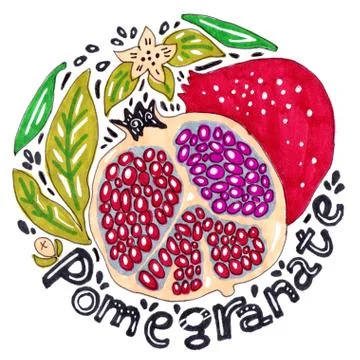 Marker Pomegranate Stock Illustration