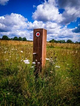 Marker post showing an arrow in afield with wildflowers Stock Photos