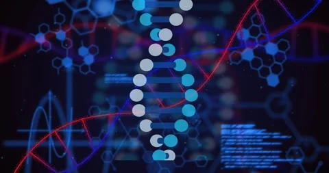 Markers appearing, stacking and connecting, forming double helix while ribbons Stock Footage 328469765