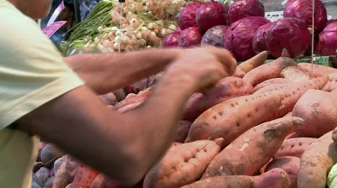 Market 7 Stock Footage 532658