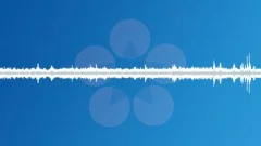Market Ambience 01Sound Effect