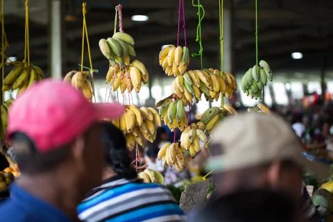 The market in bananas and people are buying fruit at the farmers market in Stock Photos