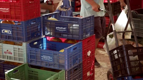 Market boxes Stock Footage 136236301