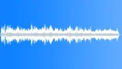 Market cumana venezSound Effect