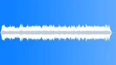Market cumana venez Sound Effect