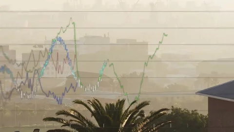 Market data streaming across hazy skyline, animating graphs crossing palm tree, Stock Footage 333962634