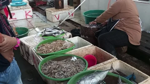 Market fish Video stock 195879426