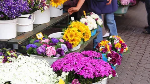 Market Flowers Stock Footage 24798370