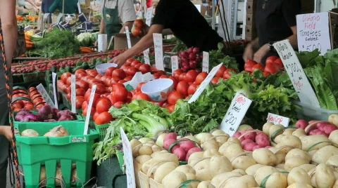 The Market Stock Footage 788298