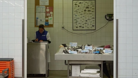 Market Video stock 128728122