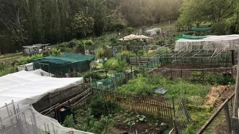 The Market Gardens Stock Footage 82195737