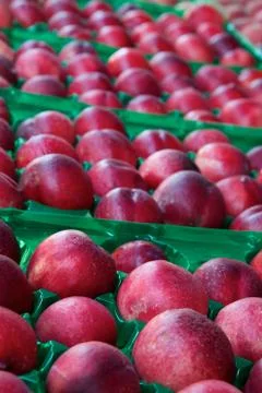 Market nectarines Stock Photos