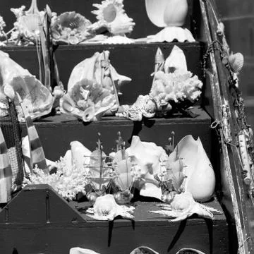 In market old table shell and sealife in sale Foto stock