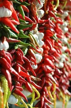 At the market Stock Photos
