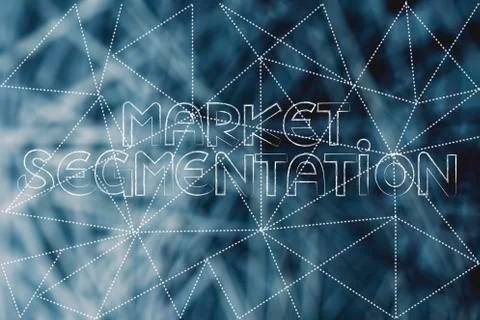 Market Segmentation text over dashed lines overlay and unfocused network patt 库存插图