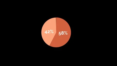 Market Share Pie Chart Data Animation Infographic Stock Footage 325331727