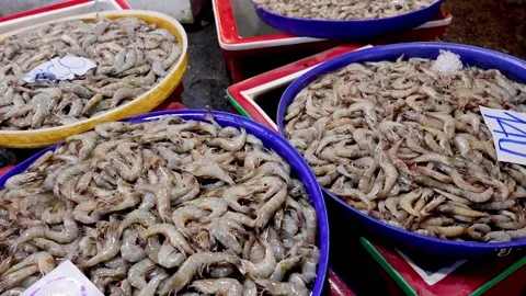 Market Shrimp Selection Process Stock Footage 277626865