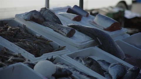 Market Stall Stock Footage 93203126