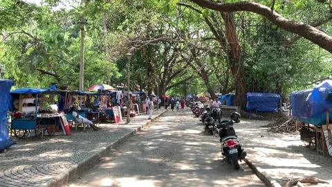 Market Stalls On A Tree Lined Road, Fort Kochi, India - 26 Apr 2019 Stock Footage 296775998